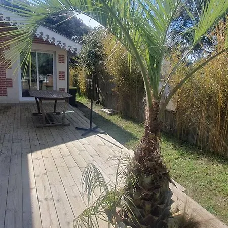 Proche De L'amelie - 3057 * 술락쉬르메르